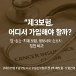 [보험 기본 – 생보와 손보 3부] 생보사 vs 손보사 제3보험…