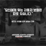 [자동차보험 비교분석 – 4부(완결)] 자동차 보험 소비자 유형별